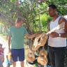 Vacation 2011 Brazil